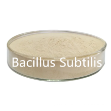 Bacillus subtilis растворимая вода 500cfu/g для кормовой добавки